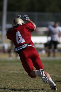 开云体育app官网-五大联赛球队助攻构成比例是否趋向边路主导，五大联赛历史进球助攻榜  第2张